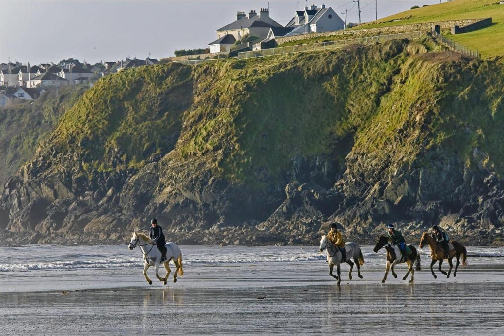 Beach Haven B&B Tramore Bilik gambar