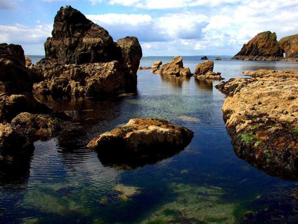 Beach Haven B&B Tramore Bilik gambar